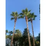 Hotel Mountain View