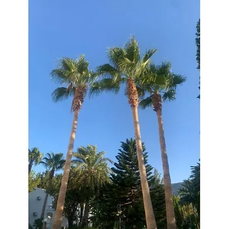 Hotel Mountain View