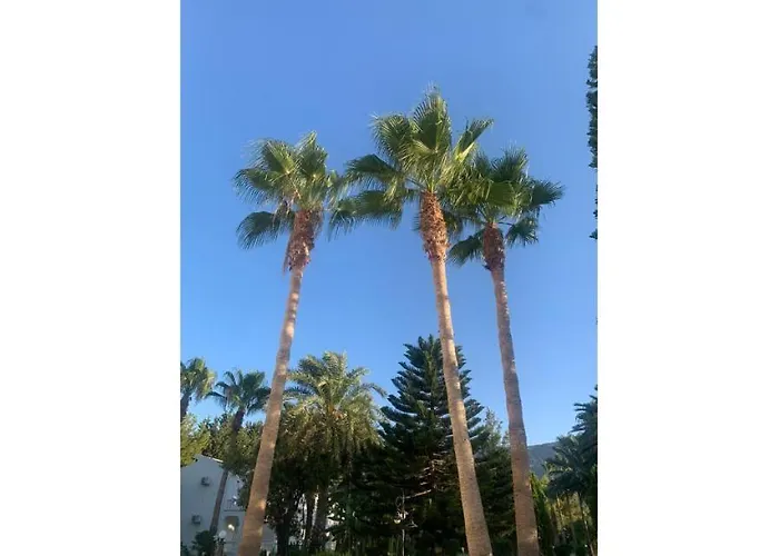 Ξενοδοχείο Mountain View